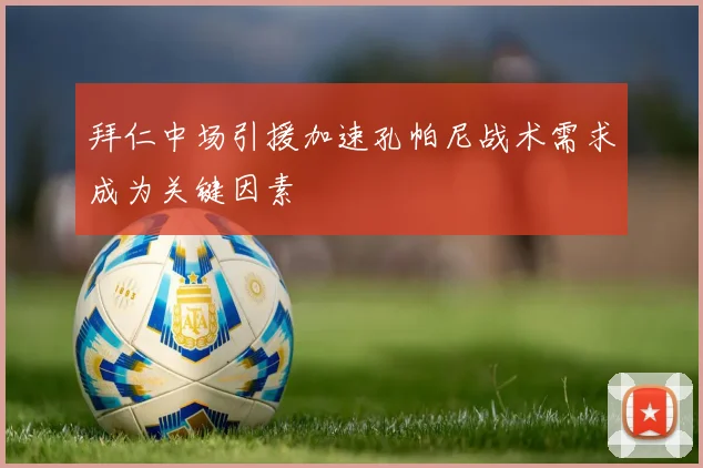 拜仁中场引援加速孔帕尼战术需求成为关键因素