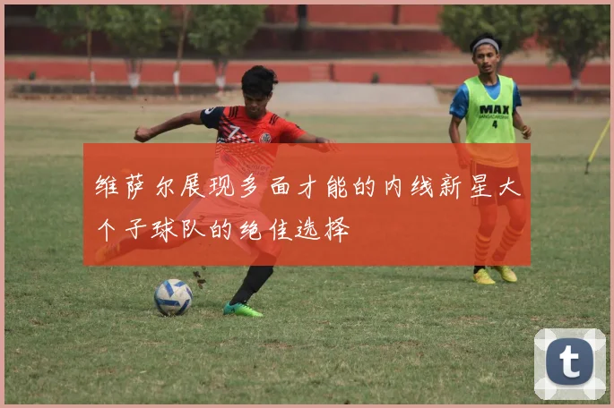 维萨尔展现多面才能的内线新星大个子球队的绝佳选择